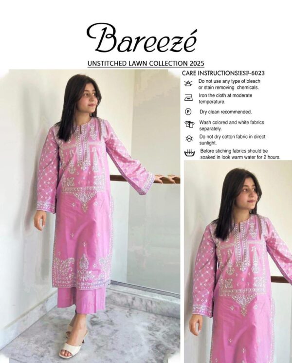 2 Pcs Women's Unstitched Embroidered Suit